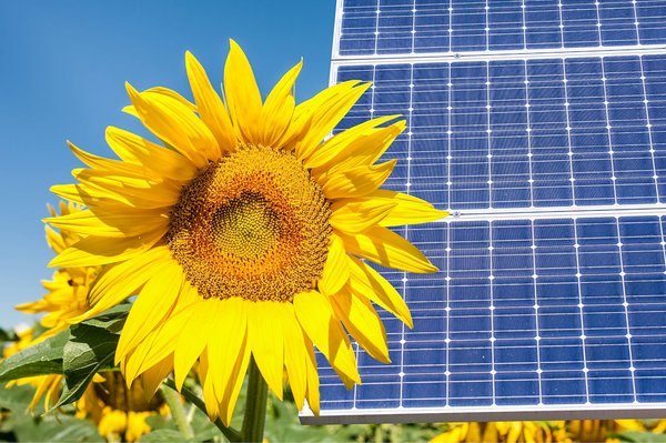 Comment les techniques de photomontage influencent-elles l'art contemporain ?