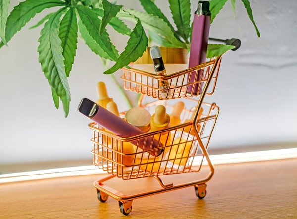 Le chanvre : solution naturelle contre les douleurs chroniques